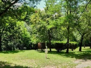 Campings Ludocamping : photos des chambres