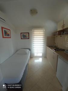 Apartmani Anđelo, Tommy, Leon