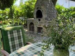 Danube Villa with swimming pool