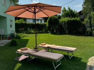 Danube Villa with swimming pool