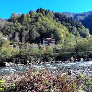 burda kendine geleceksin