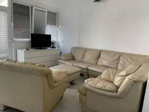 Lion King Neum - 内乌姆