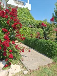 APARTMAN LUCIA