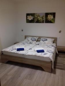 Apartment Center Njivice