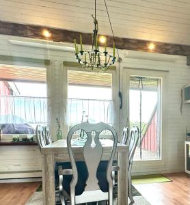Hof Vierzehnender im Hohen Venn - 70qm Fachwerk-Studio - grosses Wohn-Schlafzimmer mit Dachterrasse und Kaminofen - separate Küche - perfekt für Paare - Monschau - Eifel - Hunde willkommen - Islandpferde