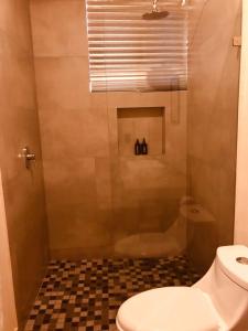 Estudio completo en la selva