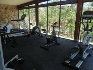 Estudio completo en la selva