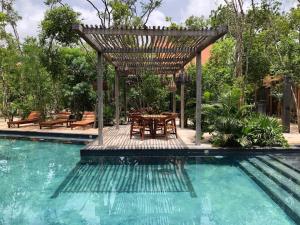 Estudio completo en la selva