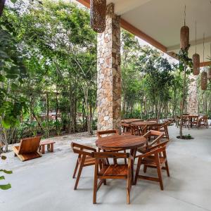 Estudio completo en la selva