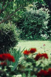Maisons de vacances Au Charme De Bussy - Peaceful Place near Disneyland, Train Station RER and Nature : photos des chambres