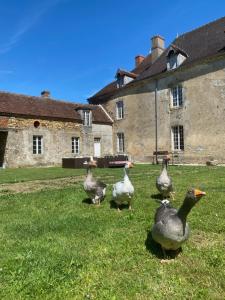 Chateau de Grandsagne