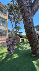 Luxurious and Spacious House - 3 Minutes from the Beach and 1 hour from Rome