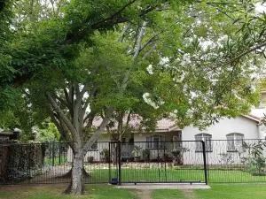 Lizzie's - Wilgeboom