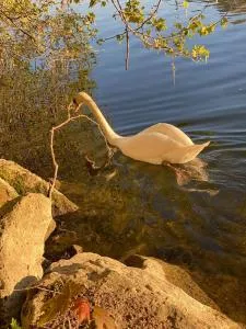 Paris - Stade de France - 新城拉加雷讷