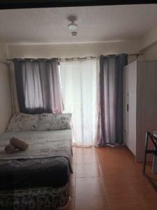 One Oasis Condo 1 bedroom