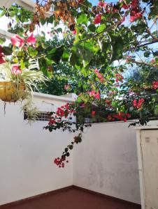 Departamento y naturaleza