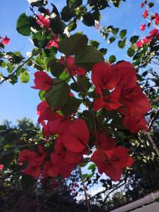 Departamento y naturaleza