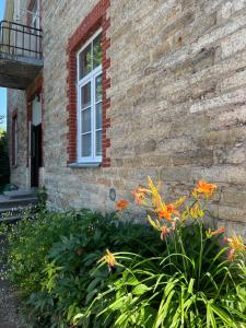 Vabriku 6 Apartment with sauna