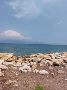 Seaview Apartments Petalidi