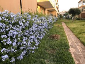 Appartement vue sur piscine - Les Jardins de Tamaris
