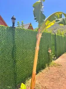 Adrasanparlakvillaevleri - Karaoz