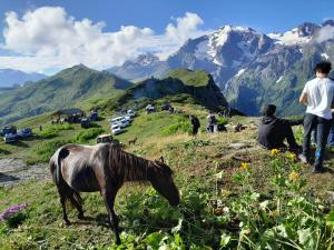 Sarag Family Guesthouse Svaneti