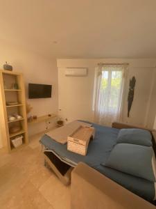 Appartements Studio lumineux : photos des chambres