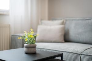 SHINY HOMES - Modern & Cozy Stay in Bielefeld Mitte