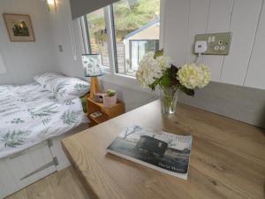 Shepherds Hut at Penrallt Goch