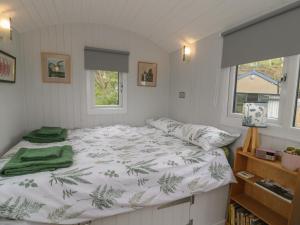 Shepherds Hut at Penrallt Goch