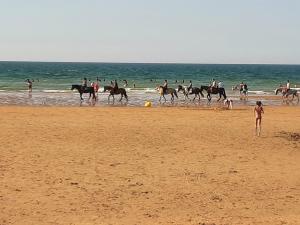Appartements Appartement a Ouistreham LA SIRENE : photos des chambres