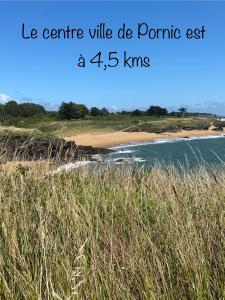 B&B / Chambres d'hotes Celine et Olivier : photos des chambres