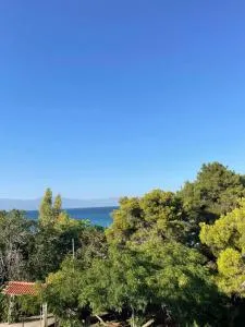 Pefkias Apartments - Pasó