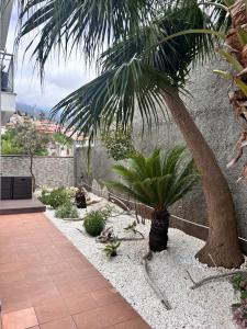 Home to Stay by Homie