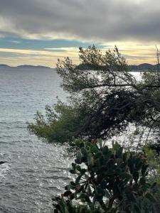 Appartements Studio Bruno, vue mer, avec piscine, Golfe de Saint Tropez : photos des chambres