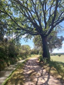 Appartements Cecile - Mas de Rousseau : photos des chambres