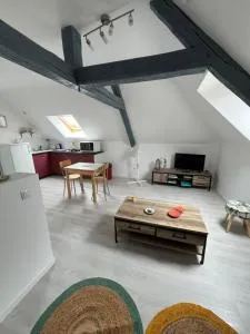 Appartement avec cours - 布里阿尔