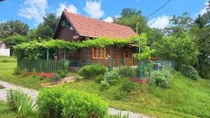 Kokotova hiža - Husinec