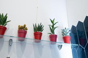 Vittorio Emanuele Suite