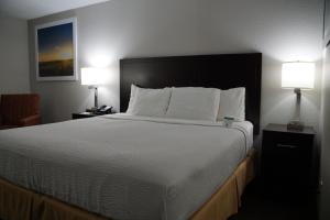King Room - Non-Smoking room in Days Inn by Wyndham Mexico