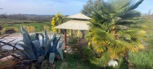Maisons de vacances Un parfum de Thailande, ressourcement et massages : photos des chambres