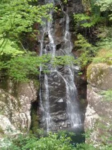 Premium Guest House Alaskan Dream - Ohnan-cho