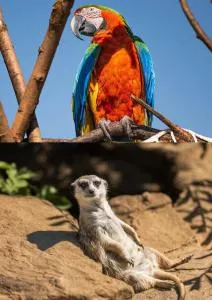 FAUNAPARK Lipová-lázně - Vápenná