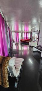 La Ranita 4 SIDDHARTHA