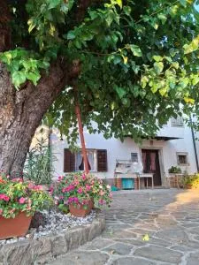 Casa Nonna - Manžan