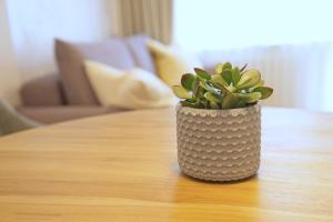 Trójmiejski przystanek