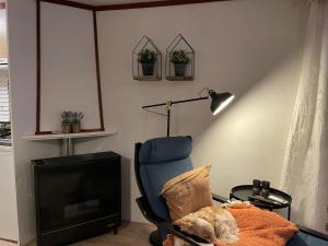 Tranquil forest chalet by a pond in Veluwe, sleeps 4