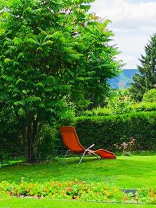 B&B / Chambres d'hotes L'Eden de Floridylle : photos des chambres