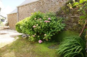 Ma petite maison bretonne