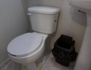 International Suites Progreso A